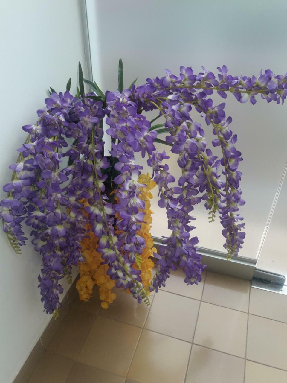 Hotel Casa Jardin أسونسيون المظهر الخارجي الصورة
